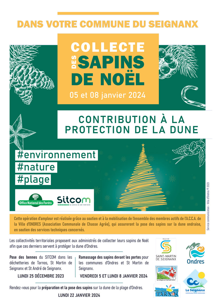 D Veloppement Durable Collecte Des Sapins De No L Contribution La